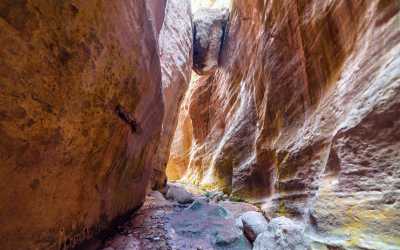 Wycieczka fakultatywna, Wycieczka na plażę Lara Beach [27] z Pafos
