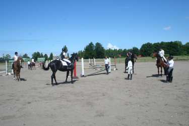 Obóz młodzieżowy, Niezapomniana Nadmorska Przygoda - OBÓZ KONNY (11-18 lat). Profesjonalne szkolenie dla początkujących, średnio zaawansowanych, zaawansowanych, obóz sportowo-szkoleniowy