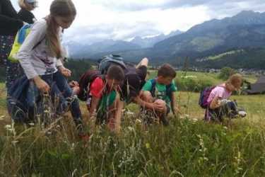 Obóz młodzieżowy, „JANOSIKOWA ADRENALINA”. Nerf - park linowy – aquapark a dla chętnych Energylandia, Słowacja i inne atrakcje kolonia 7 – 10 i 11 - 14 lat